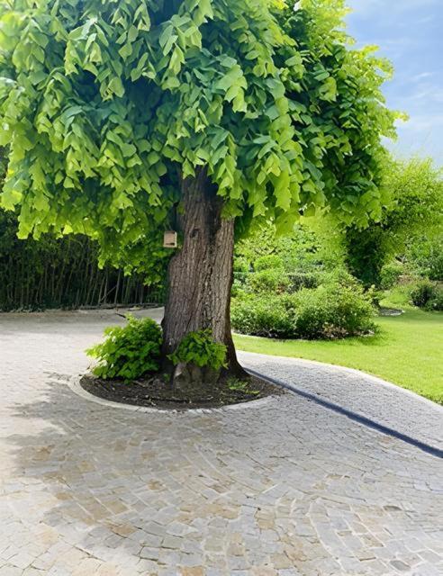 مبيت وإفطار فلوراك Domaine De Garat المظهر الخارجي الصورة